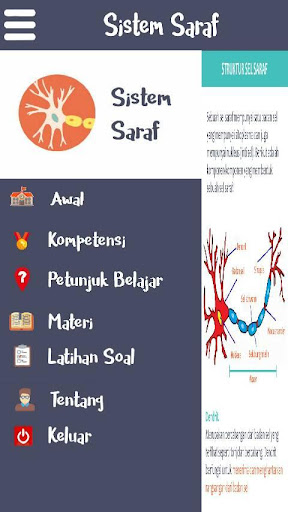 Sistem Saraf
