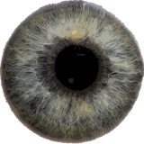 Eye Diagnosis icon