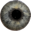Eye Diagnosis 1.4.3 APK Descargar