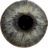 Eye Diagnosis1.4.3