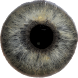 Eye Diagnosis - Androidアプリ