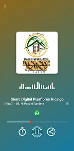 Sierra Digital Pisaflores