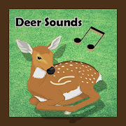 Top 20 Music & Audio Apps Like Deer Sounds - Best Alternatives