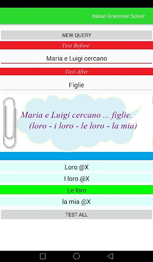 Italian Grammar Solver Screen 2