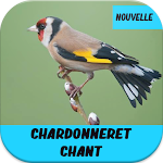 Cover Image of ダウンロード chardonneret chant gratuit 1.2.6 APK