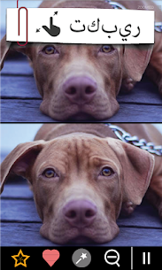 أوجد الاختلافات مع أكثر من 750 6