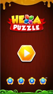 Hexa Jigsaw Block Puzzle