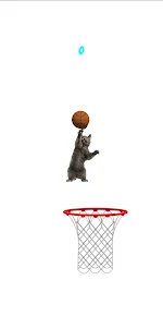 Cat Sports