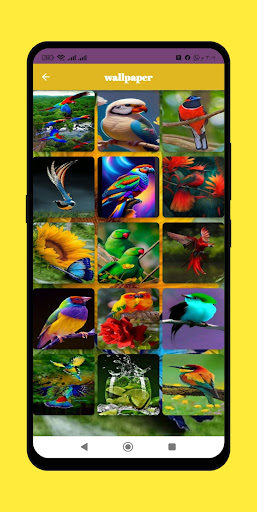 Bird Sound Effects Screen 3