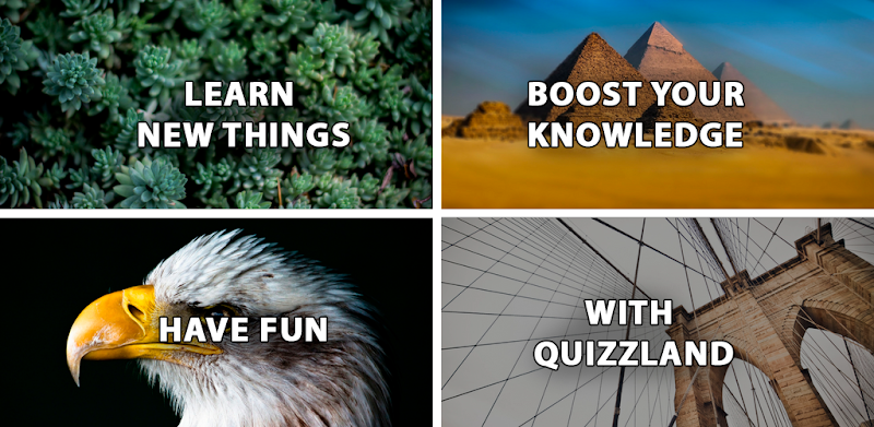 Otázky a odpovědi. Quiz hra zdarma: QuizzLand.