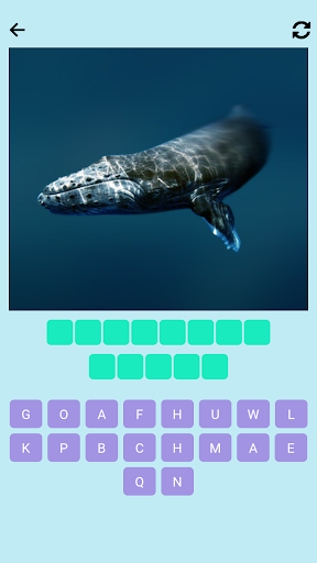 Guess the fish Screen 2