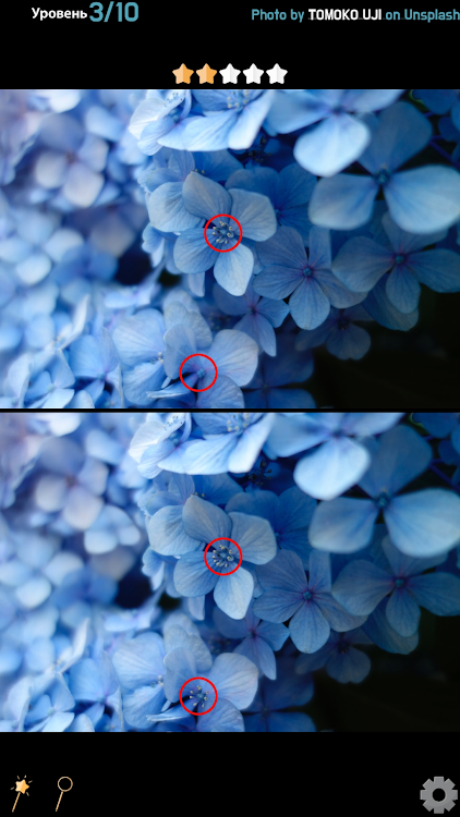 Find 5 Differences - Flowers - 1.0 - (Android)