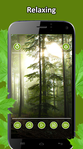 Relax Forest Screen 3