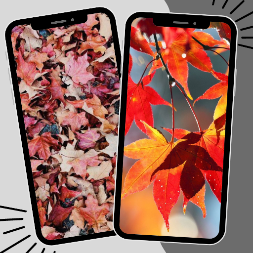 Autumn Wallpaper logo