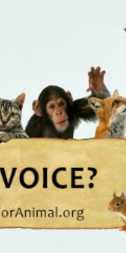 Voice For Animal