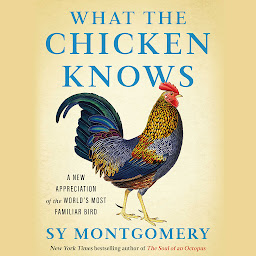 Icon image What the Chicken Knows: A New Appreciation of the World's Most Familiar Bird