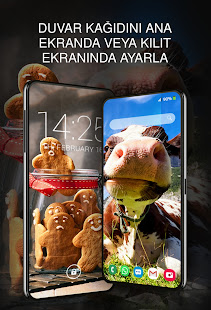 Uygulama önizlemesi
