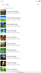 screenshot of Files - File Manager