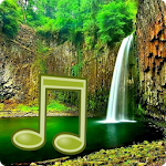 Cover Image of Tải xuống Jungle Sounds - Nature Sounds 5.0.1-40158 APK