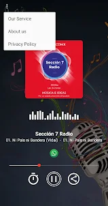 Sección 7 Radio