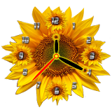 Sunflower Clock icon