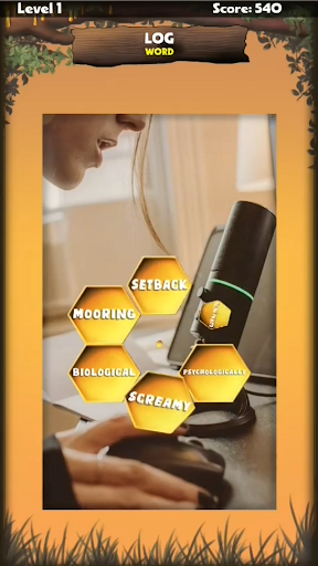 Honeycomb Blast Screen 2