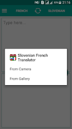 Slovenian French Translator