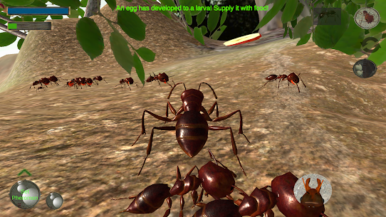 Ant Simulation 3d Full Mod Apk v3.3.4 (Unlimited Money) 2