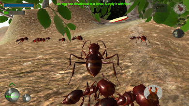 Ant Simulation 3d Insect Survival Game Apps On Google Play - how to dig in ant simulator roblox