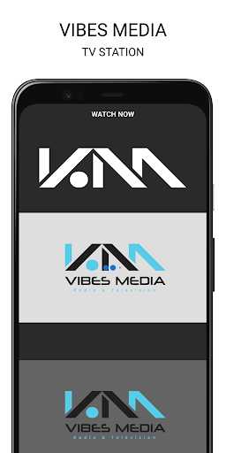 Vibes Media Belize Screen 3