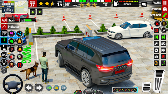 Trò chơi đỗ xe ô tô 3D