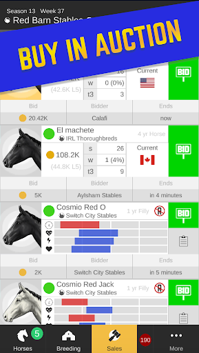 Stable Champions - Horse Racing Manager 2.81 screenshots 4
