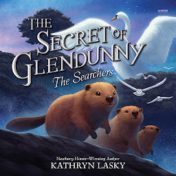 Icon image The Secret of Glendunny #2: The Searchers
