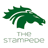 The Stampede RHS icon