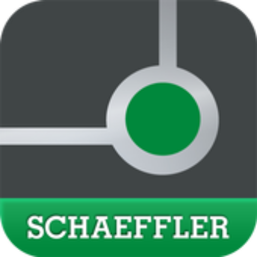 Schaeffler Feedbacks