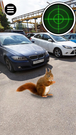 Stray Animals. Real Catch Game