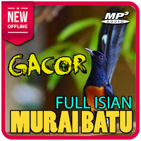 Murai download batu mp3 isian masteran full Download Suara