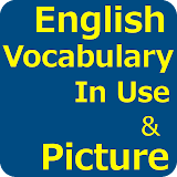English Vocabulary In Use icon