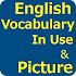 English Vocabulary In Use