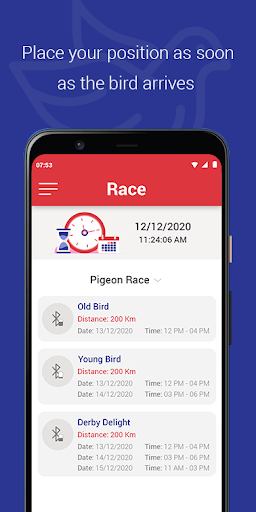 Android application Pigeon Sports Clock screenshort