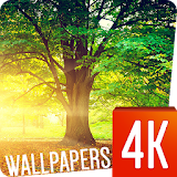 Tree Wallpapers 4k icon