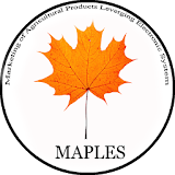 Maples icon