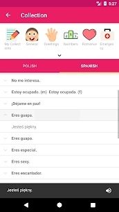 Polish Spanish Dictionary 6