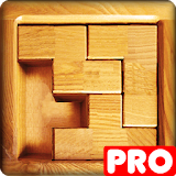PICTRIS Pro icon