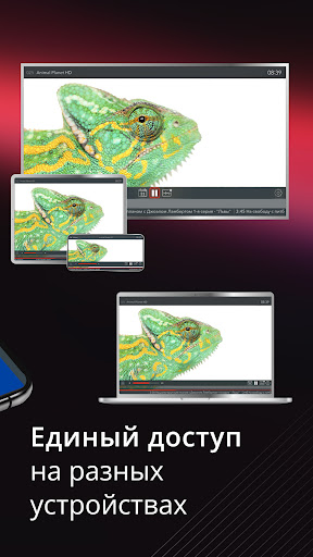 АКАДО ТВ Screen 2