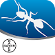 Pest Portal विंडोज़ पर डाउनलोड करें