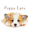 Puppy Eyes Theme icon