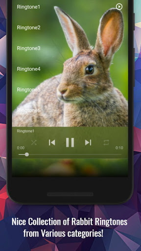 Rabbit Sounds Screen 2