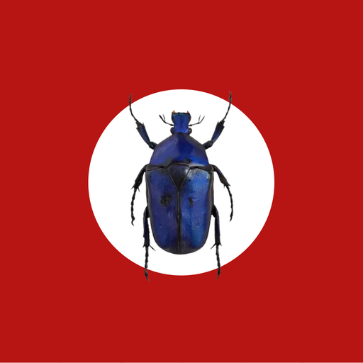 NoBugz logo