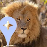 Kruger Park Local Guides icon